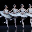 Swan Lake(백조의 호수) - Tchaikovsky 이미지