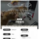 출장 애견미용 창업 후기! 어떻게 준비할 수 있을까?