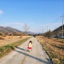 그림책과 함께하는 연극놀이터 | [복복이네 일기] 아기들과 함께하는 봄 보통의 일상 (feat. 봄봄봄 봄이왔어요)