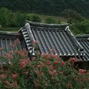 도산래프팅;도산민박 이미지