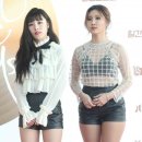 화사 이미지