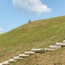 적성민물 이미지