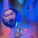 봄 인디, 보러와유 이미지