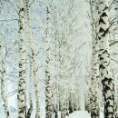 두영환경 이미지