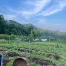 긴물스테이 이미지