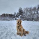 풀내음목장 이미지