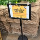 동물원 화장실 | 인천실내동물원 쥬벅스 ㅣ 아기동물 체험 가능한 실내동물원 인천 데이트 후기