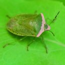 곤충동물 생태 체험교실 이미지