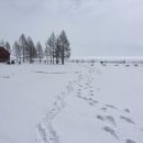 해피투어여행사 이미지