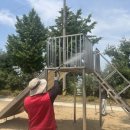 대일초등학교 이미지