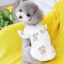 코디애견샵 이미지