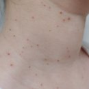 맑은성모피부과의원 이미지