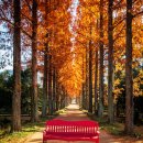 나주자원 이미지