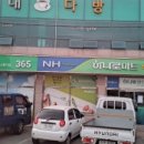 북영덕농협 축산항지점 네이버블로그