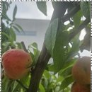 뮤즈 펜션 이미지