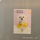 코키오 닭갈비 식사점 이미지
