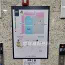 인천 청라 피노팜 내돈내먹 솔직후기