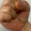 파라 에스테틱 이미지