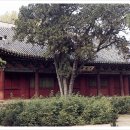 종로-종로-종로-종-141 이미지