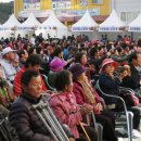연산대추축제 네이버블로그