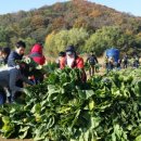 패밀리농장 이미지