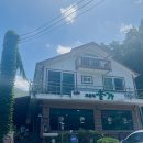 고둔치 솔가 이미지