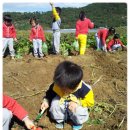 효동농장 이미지