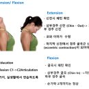 바디핏퍼스널 이미지