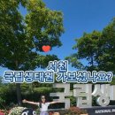 장항경로식당 네이버블로그