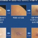 미즈맘 의원 이미지