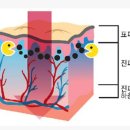 아름다운미의원 이미지