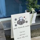 멍멍미식회 이미지