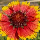 청미천 6 이미지