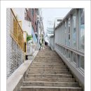 일제 경성호국신사 계단(108계단) 이미지