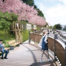 스카이웨이 주차장 이미지