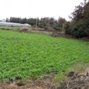 남원읍-126 이미지