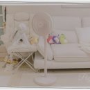 여름이야 | 써큘레이터 여름 무선 저소음 사용 후기