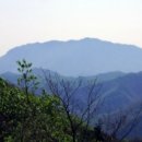 영규농장 이미지