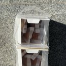 풋잇인유어마우스