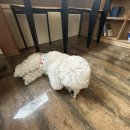 크와아앙 | 잠실새내점심추천 POCO HOUSE 포코하우스