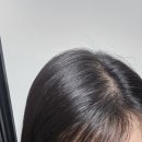 약산성 트리트먼트 추천 두피에도 사용가능! 러브밋 너리싱 리페어 트리트먼트 후기