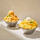 샌드스테이 이미지