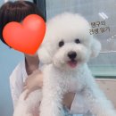 땡구야놀자 이미지