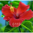 일본어회화 이미지