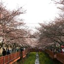 여좌천거리 이미지