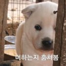 슬쩍