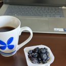 일조민박 | 2025 멕시코 레토르트 식품들 후기 (feat. Dolores)