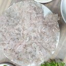 삼천포세꼬시 이미지