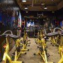 루이스타 휘트니스 이미지