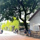 화산마트 | 대만 타이페이 여행 일정 시내 코스 추천 : 화산1914창의문화원구 춘수당 메뉴 버블티 원조 맛집